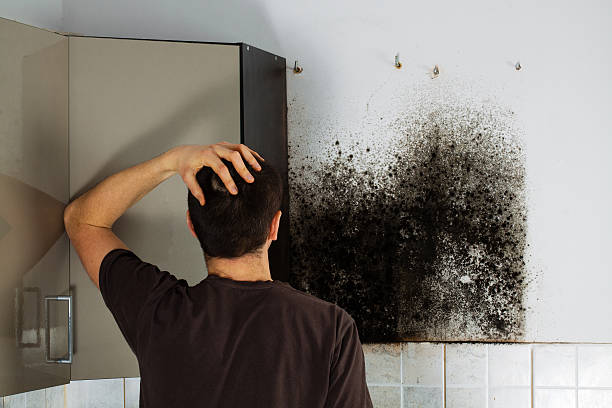 Best Mold Odor Removal Services  in Happy Valley, CA